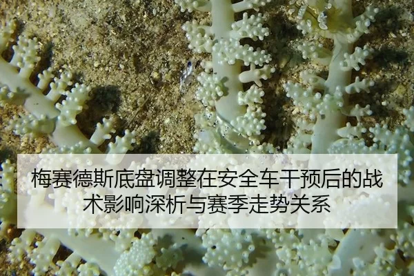 mei-sai-de-si-di-pan-tiao-zheng-zai-an-quan-che-gan-yu-hou-de-zhan-shu-ying-xiang-shen-xi-yu-sai-ji-zou-shi-guan-xi-2-368.jpg